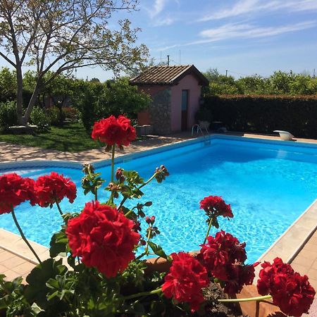 Il Giardino Segreto Bed and Breakfast Trappitello Exteriör bild