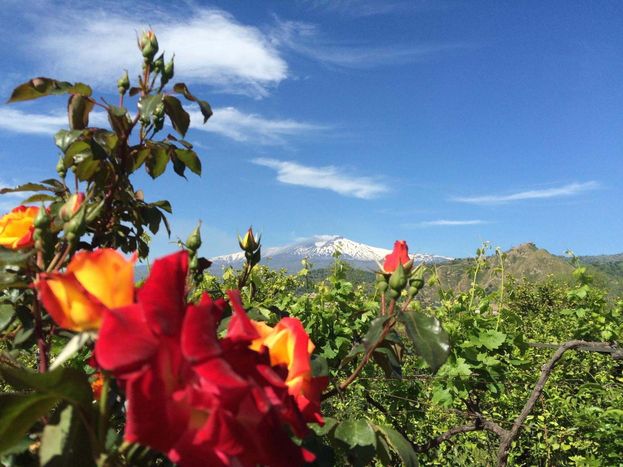 Il Giardino Segreto Bed and Breakfast Trappitello Rum bild