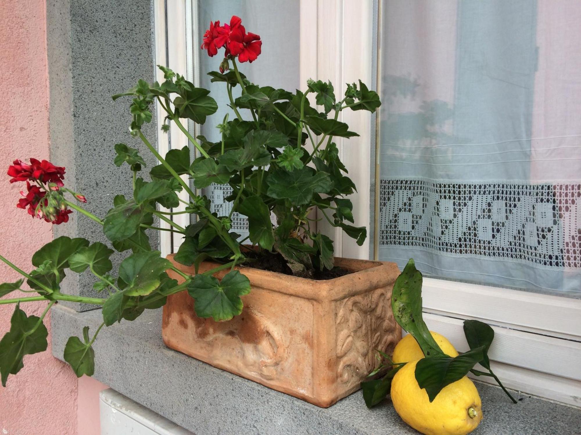 Il Giardino Segreto Bed and Breakfast Trappitello Exteriör bild